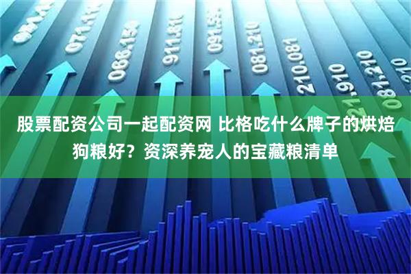 股票配资公司一起配资网 比格吃什么牌子的烘焙狗粮好？资深养宠人的宝藏粮清单