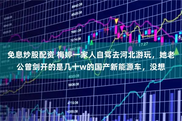 免息炒股配资 梅婷一家人自驾去河北游玩,她老公曾剑开的是几十w的国产新能源车,没想