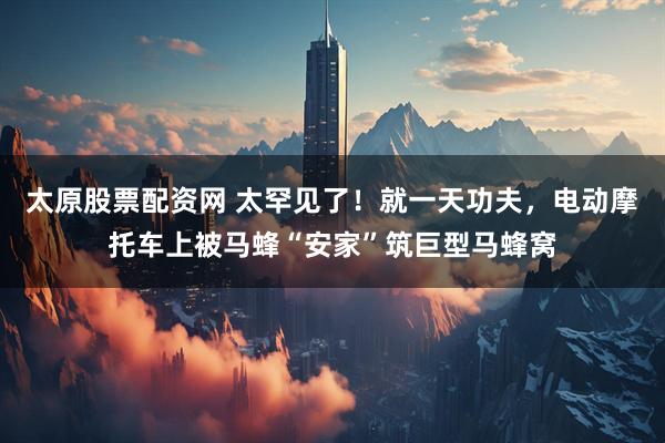 太原股票配资网 太罕见了！就一天功夫，电动摩托车上被马蜂“安家”筑巨型马蜂窝